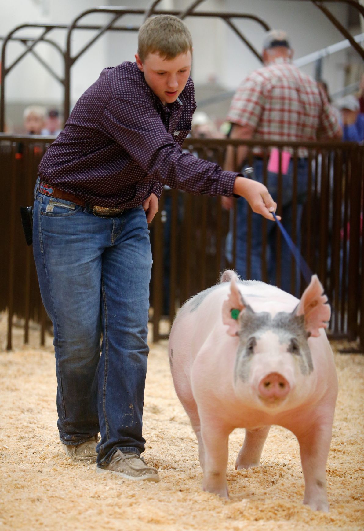Cooper McNally of the Foreverbuds 4-H club